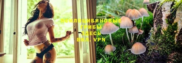 дживик Абаза