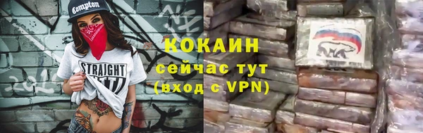 дживик Абаза