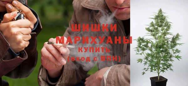 дживик Абаза
